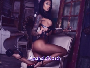 AnabeleNorth Super Webcam