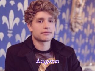 Aragornn