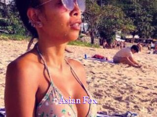 Asian_Fox