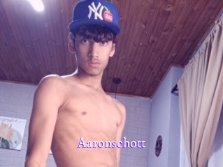 aaronschott Super Webcam