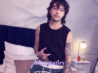 Adammarley