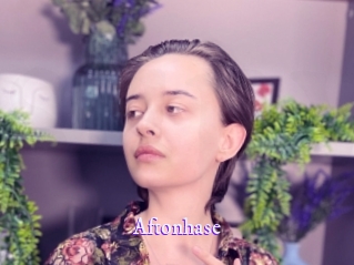 Aftonhase