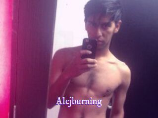 Alejburning