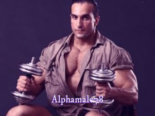 Alphamale78