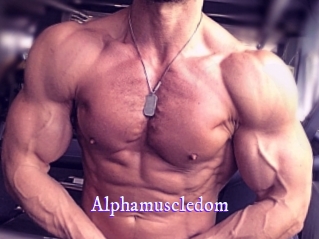 alphamuscledom Super Webcam