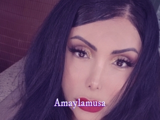 amaylamusa Super Webcam