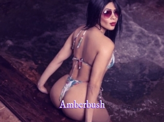 Amberbush