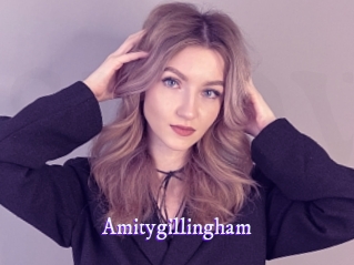 amitygillingham Super Webcam