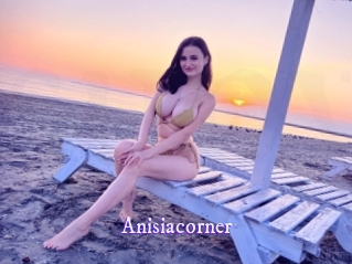 Anisiacorner