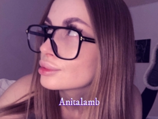 anitalamb Super Webcam