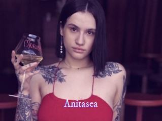 anitasea Super Webcam