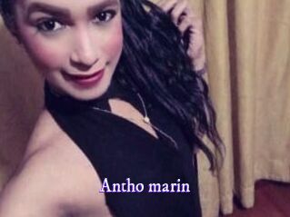 Antho_marin