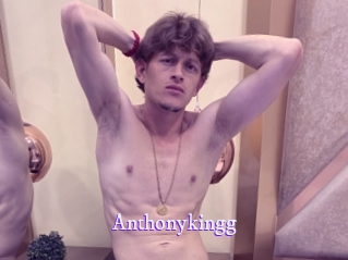 anthonykingg Super Webcam