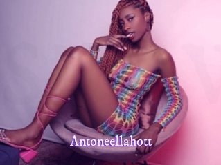 antoneellahott Super Webcam