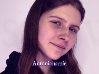 Antoniaharrie