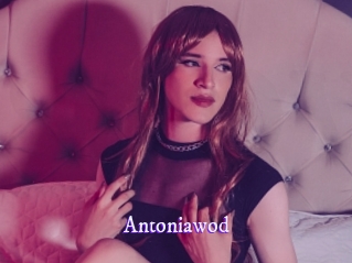 Antoniawod