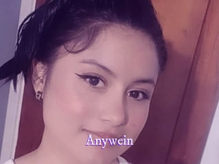 anywein Super Webcam