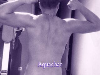 Aquachar