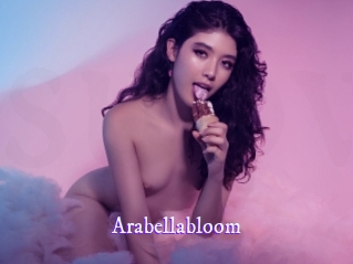 arabellabloom Super Webcam