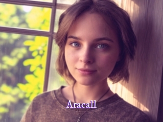aracall Super Webcam