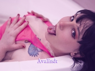 avalindt Super Webcam