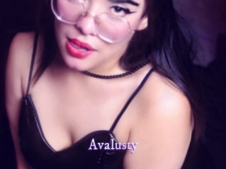 avalusty Super Webcam