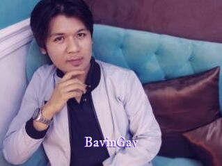 BavinGav