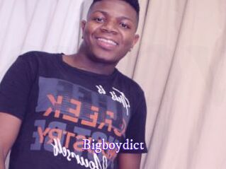 Bigboydict