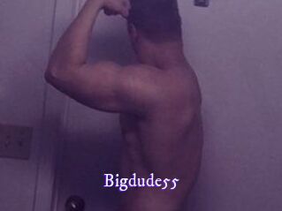 Bigdude55