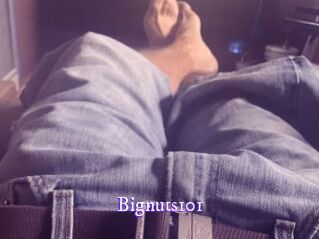 Bignuts101