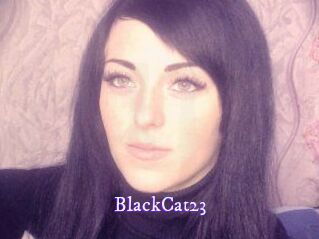 BlackCat23