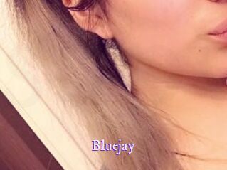Blue_jay