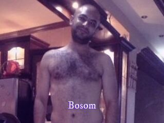 Bosom
