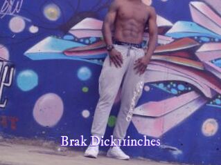 Brak_Dick11inches