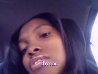 Breche