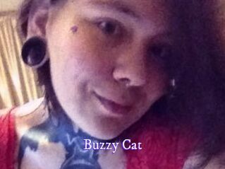 Buzzy_Cat Super Webcam