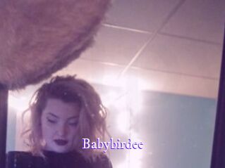 babybirdee Super Webcam