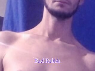 bad_Rabbit Super Webcam