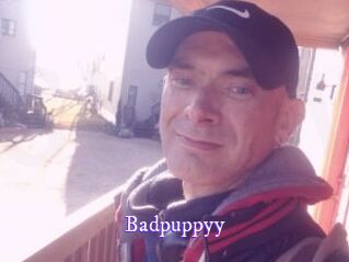 Badpuppyy