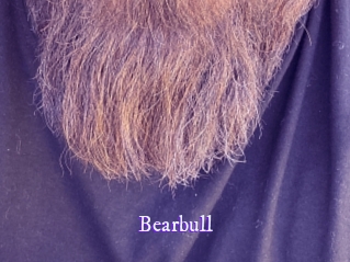 bearbull Super Webcam