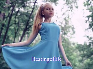 beatingoflife Super Webcam