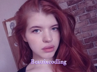 beatrixcodling Super Webcam