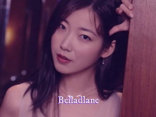 beiladlane Super Webcam