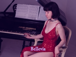 bellevia Super Webcam