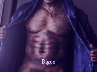 bigco Super Webcam