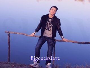 Bigcockslave