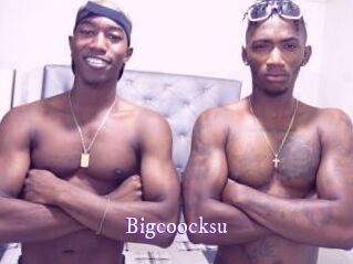 Bigcoocksu