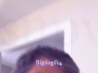 Bigdog614