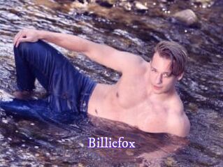 Billiefox