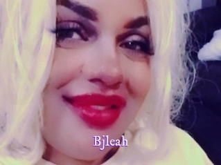 bjleah Super Webcam